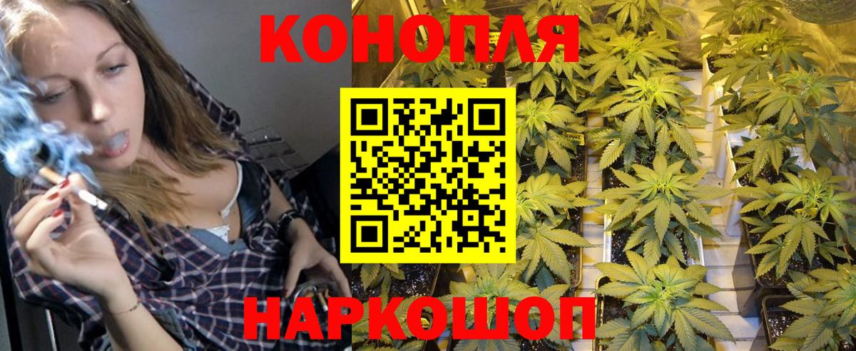 Канабис SATIVA & INDICA Томск